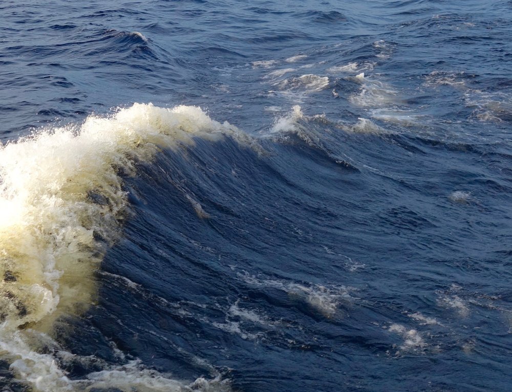 Photograph by Елена Жукова