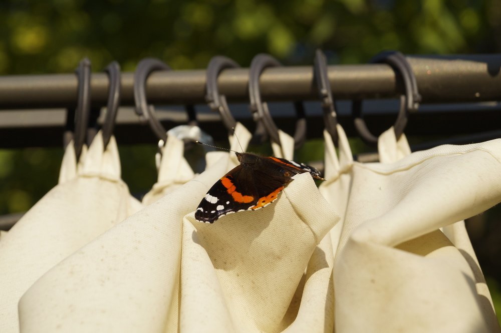 Photograph by Vlad Proshin