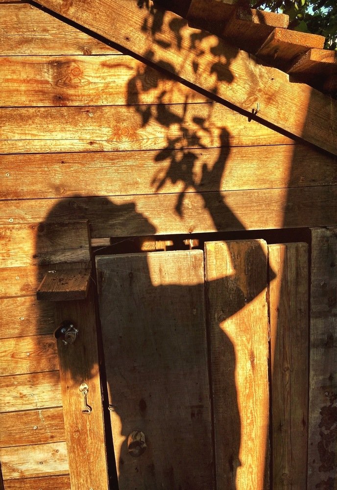 Летнее утро