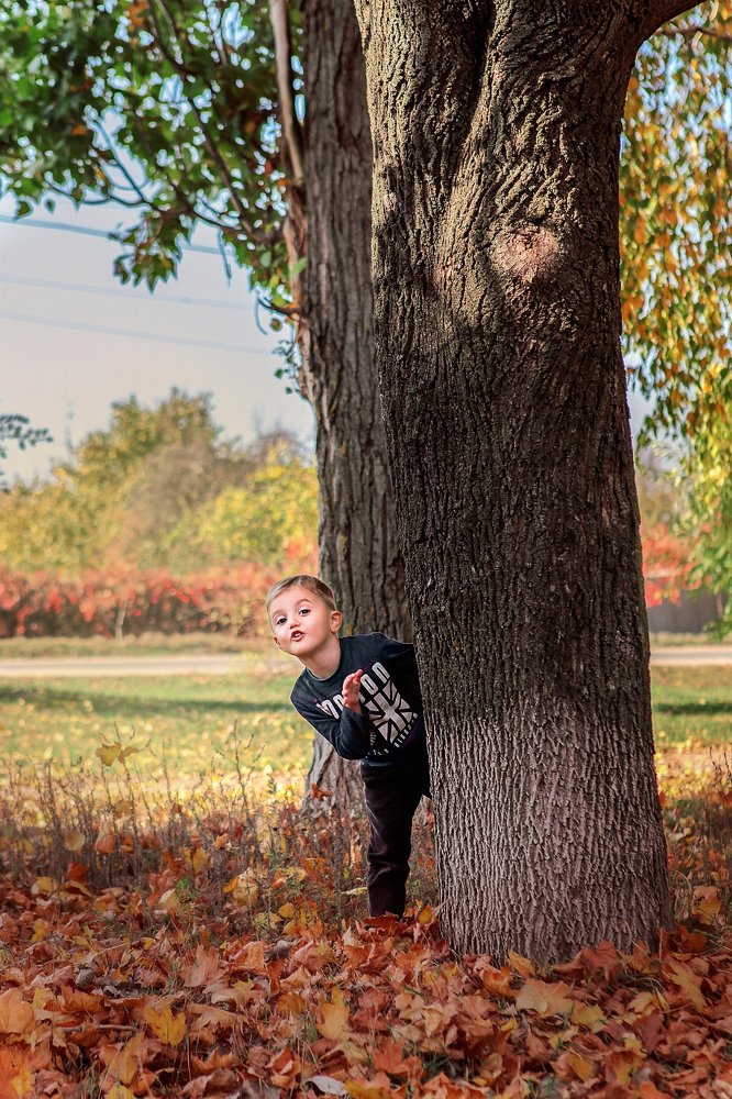 Photograph by Tetiana