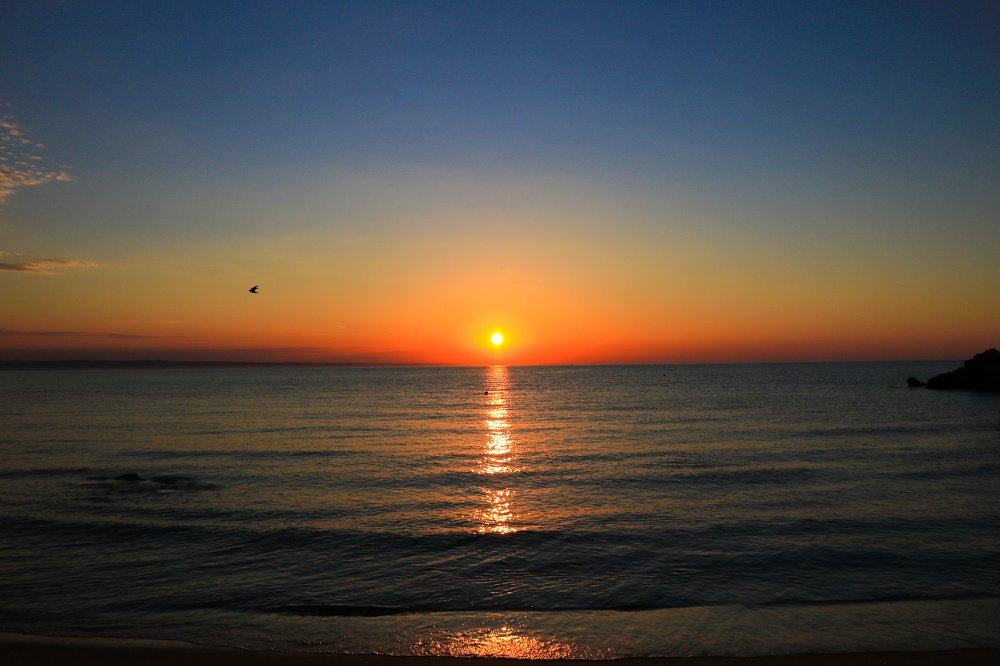 Photograph by Turcu Ovidiu Gabriel