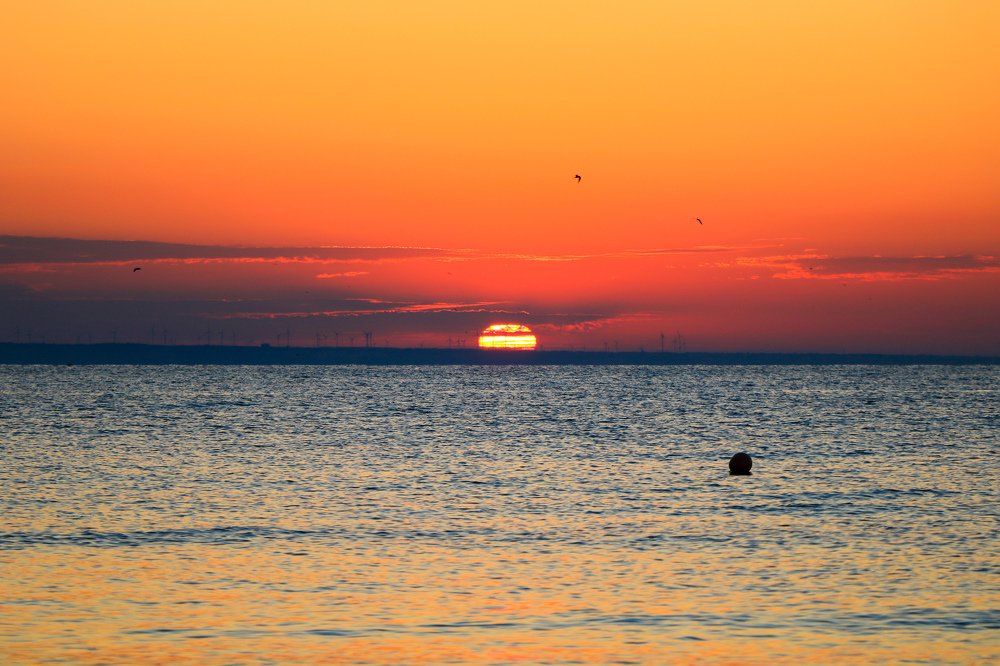 Photograph by Turcu Ovidiu Gabriel