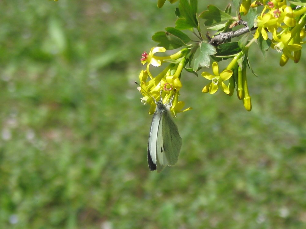 Photograph by Vlad Proshin