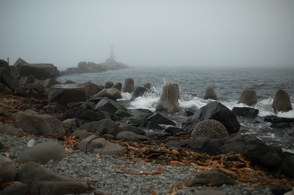 Photograph by Инна Гурьянова