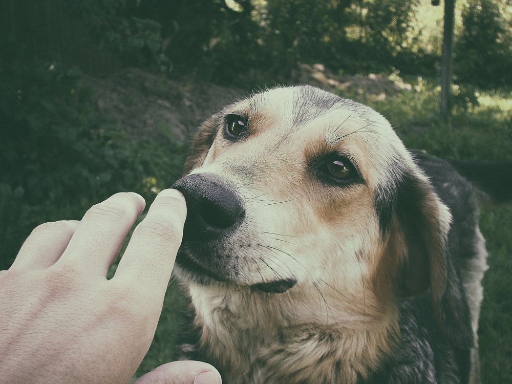 Photograph by Борис Шохин