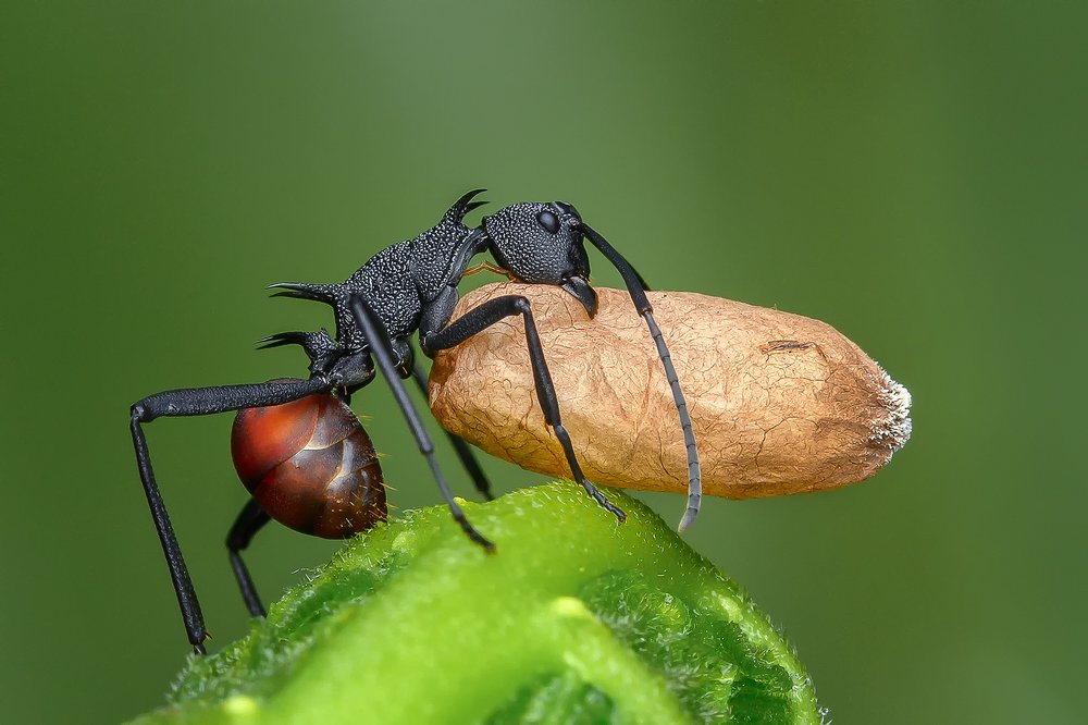 Фотография автора Marcus Kam