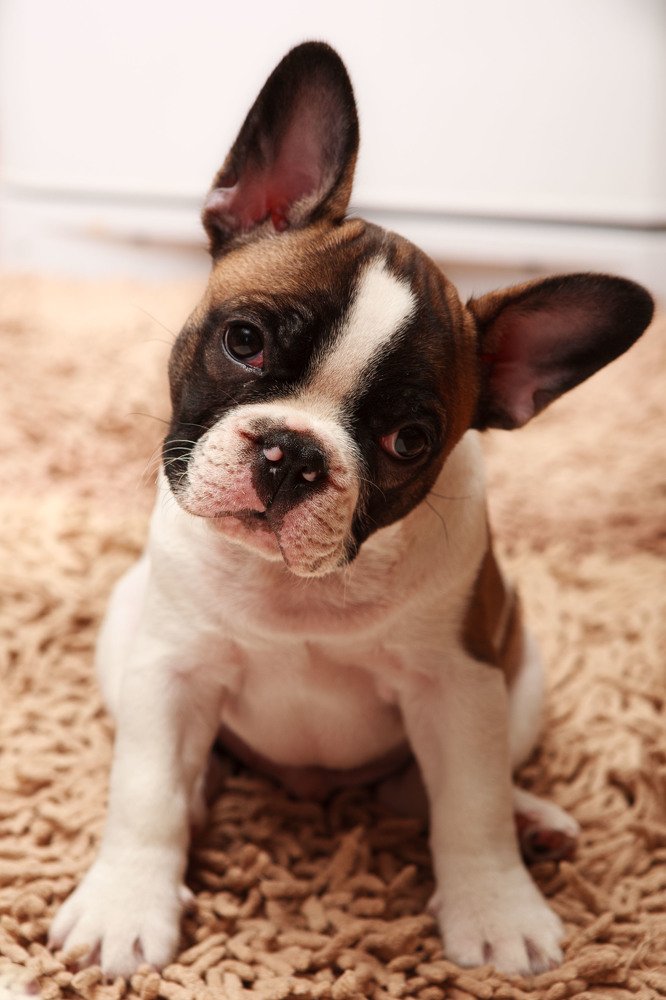 Photograph by Лариса Лофицкая