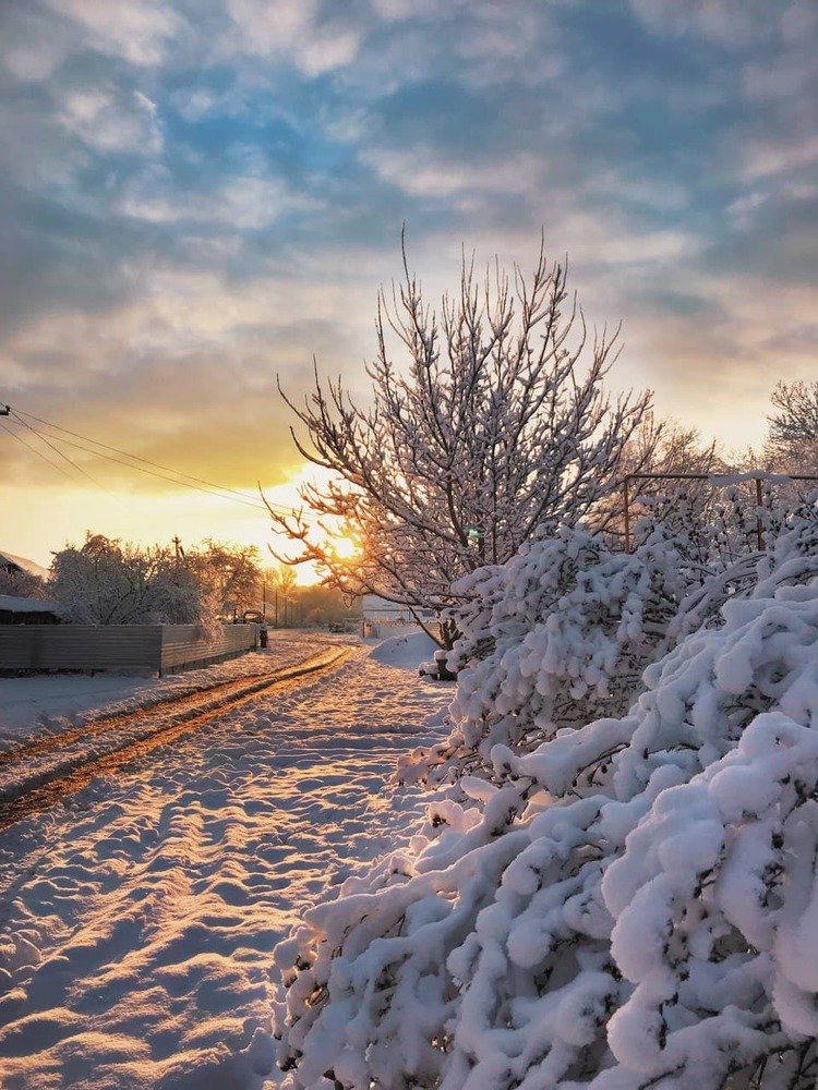 Photograph by Галина Бородина
