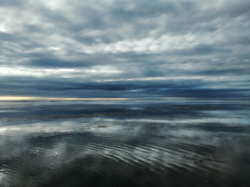 Photograph by Инна Гурьянова