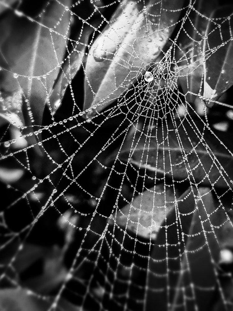 Photograph by Schewzow Lana