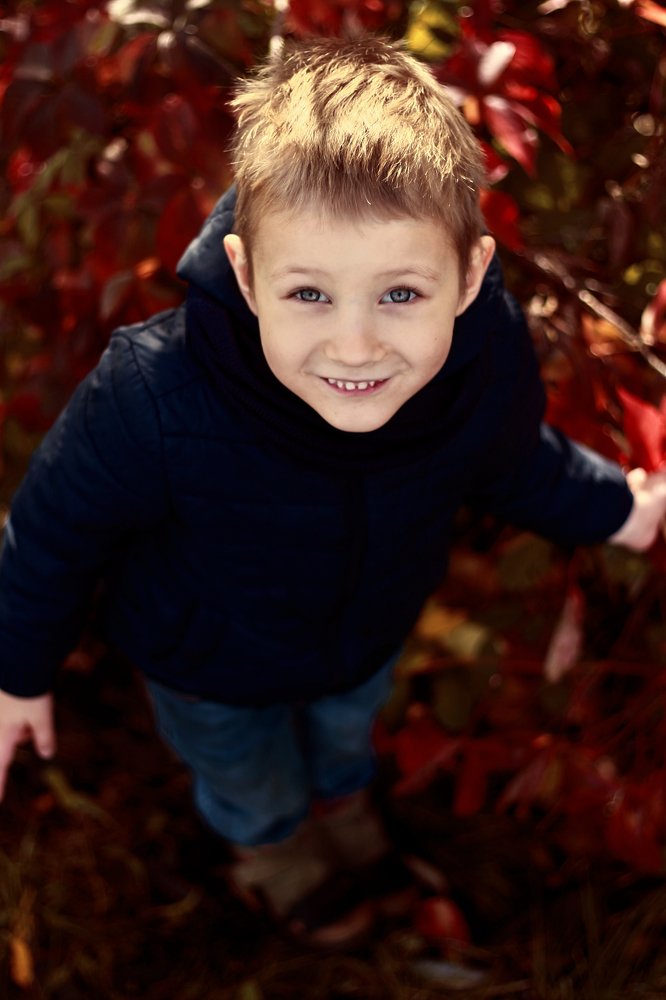 Фотография автора Елена Ходус