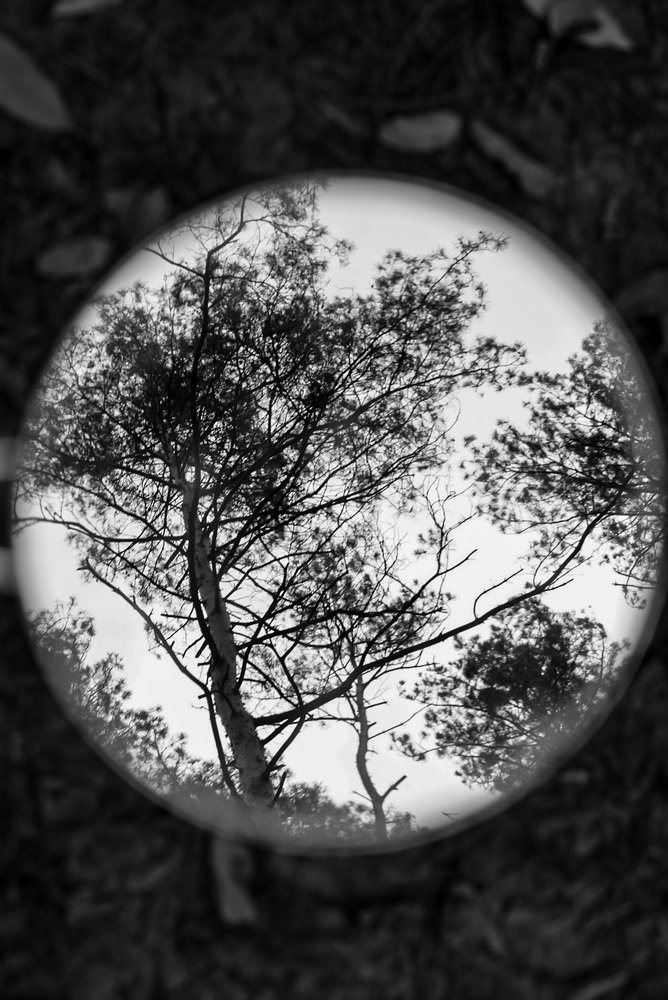 Photograph by Anna Haidukova