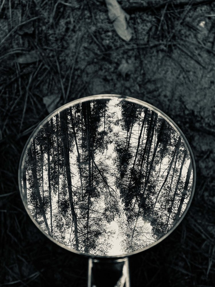 Photograph by Anna Haidukova