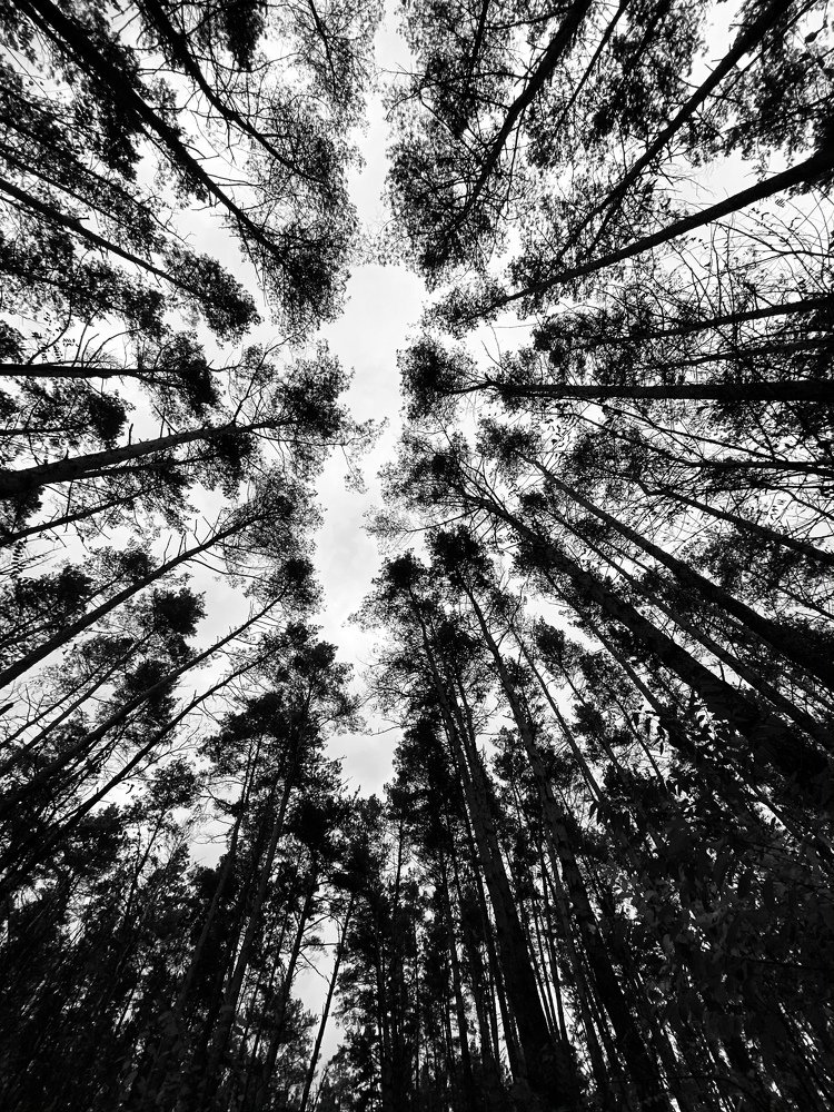 Photograph by Anna Haidukova