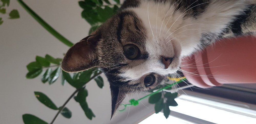 Photograph by Ivan Karavka