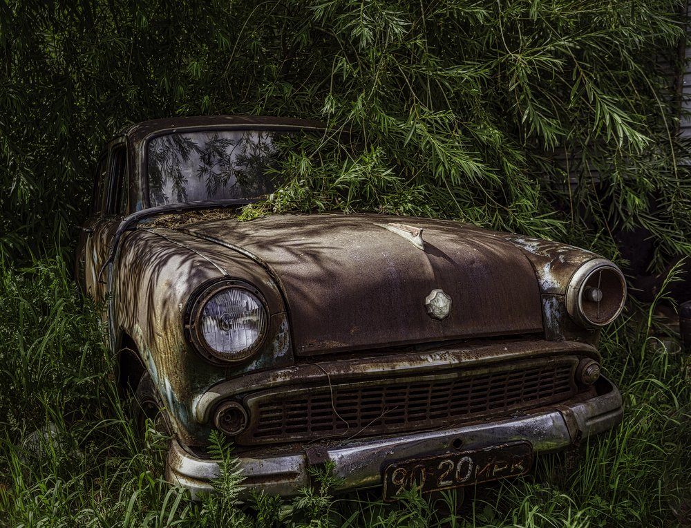 Photograph by Eвгений Якушенко