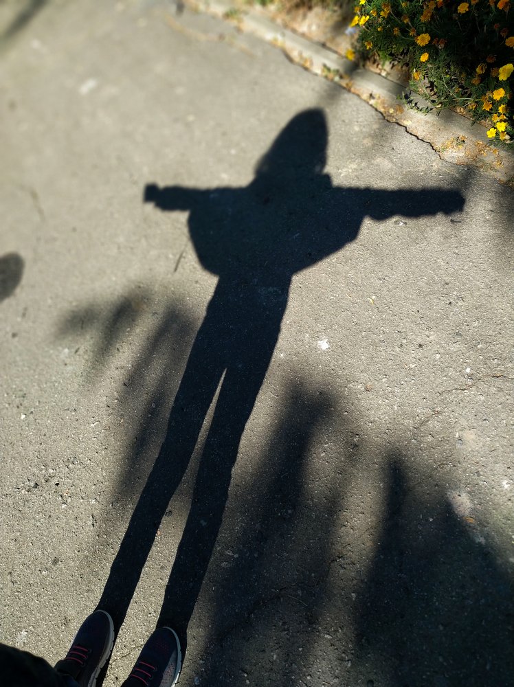 Теневой мир