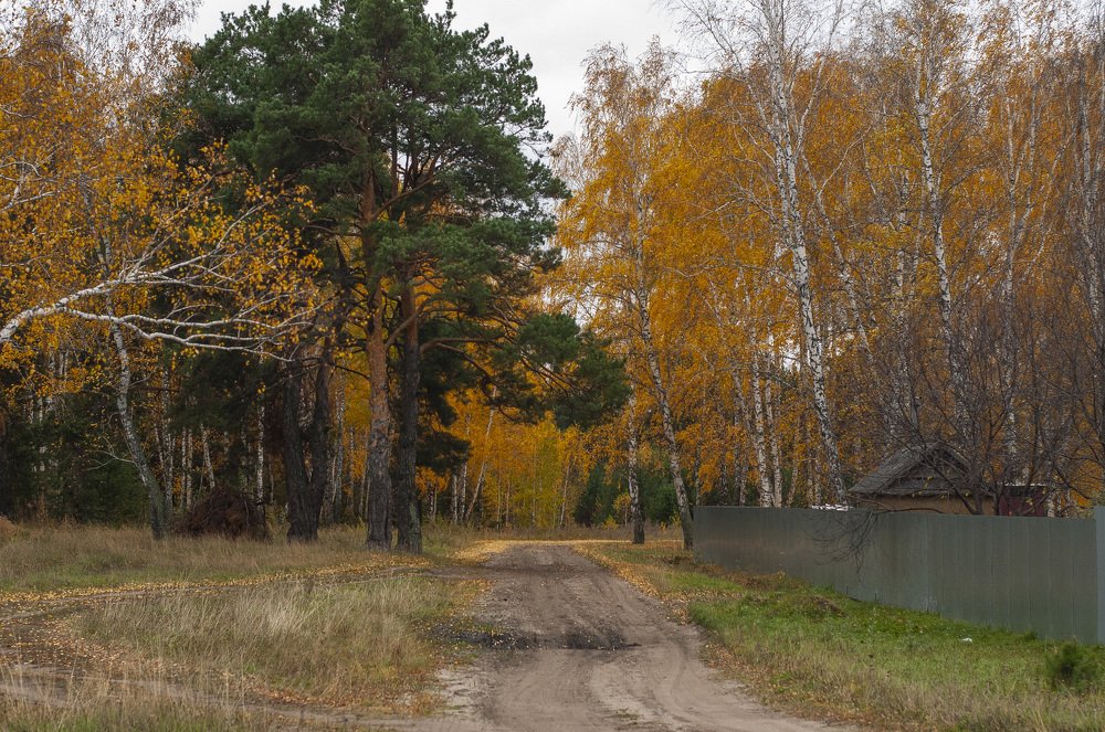 Осень в деревеньке