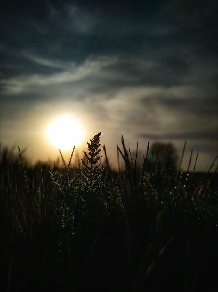 Фотография автора Elena Samusieva