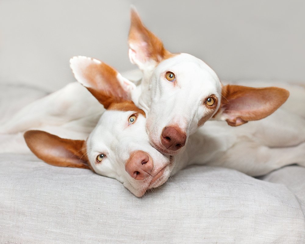 Photograph by Старикова Светлана