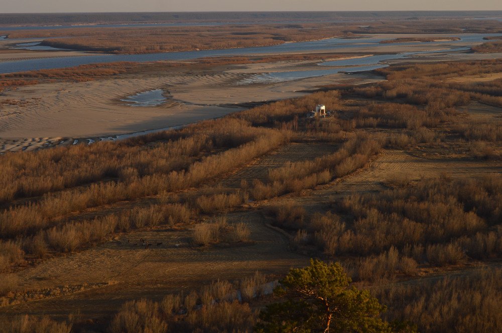 Photograph by Наталья Мордовская