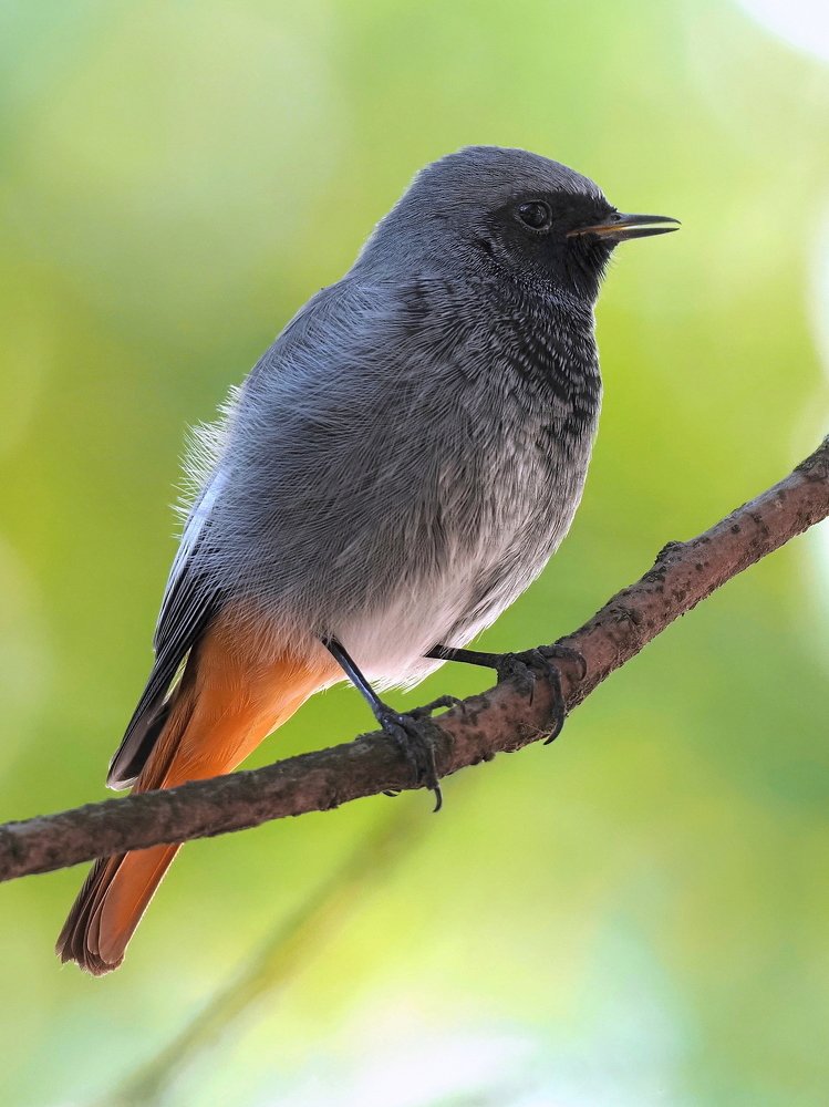 Photograph by Олег Присяжнюк