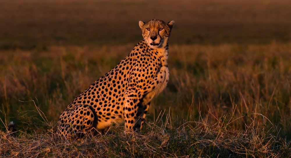 Photograph by Vignesh Ramachandran