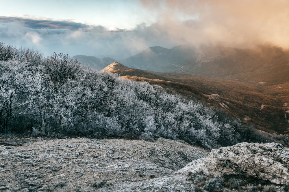 Photograph by Константин Аношин