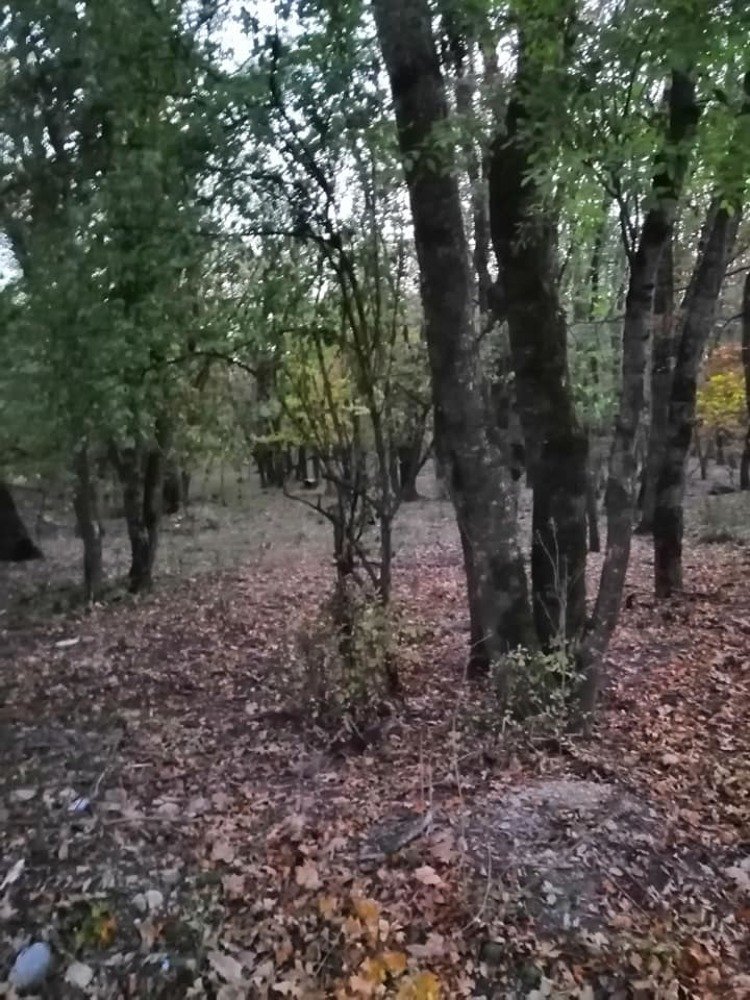 Photograph by Мила