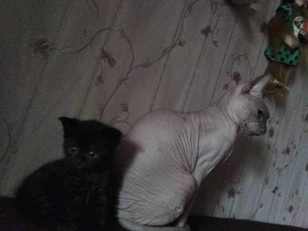 Photograph by Мила