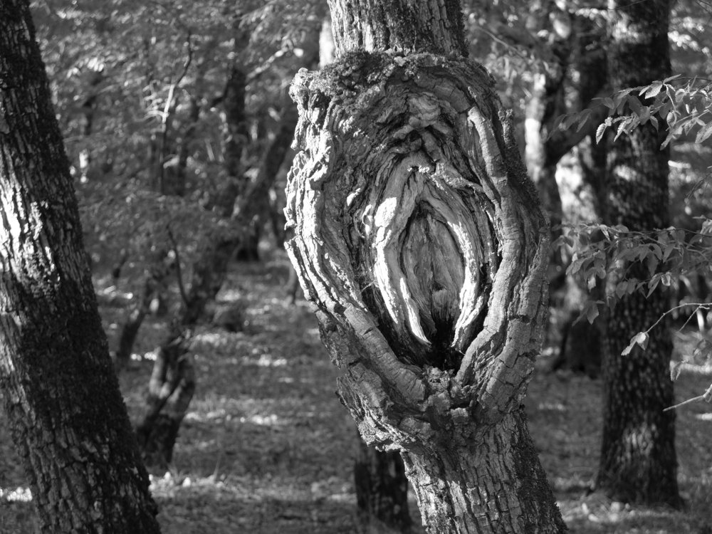 Photograph by Сергей