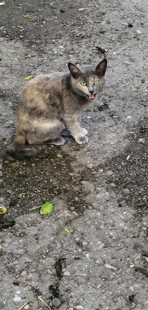 Photograph by Мила