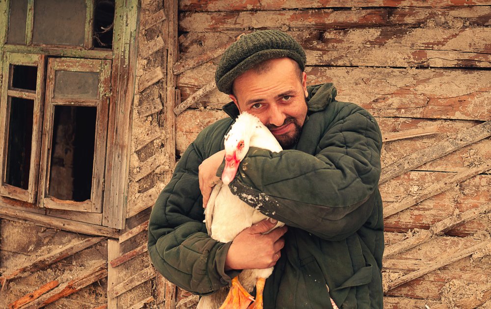 Photograph by Михаил Фенелонов