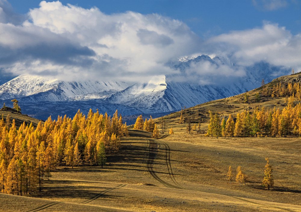 Photograph by Галина Хвостенко