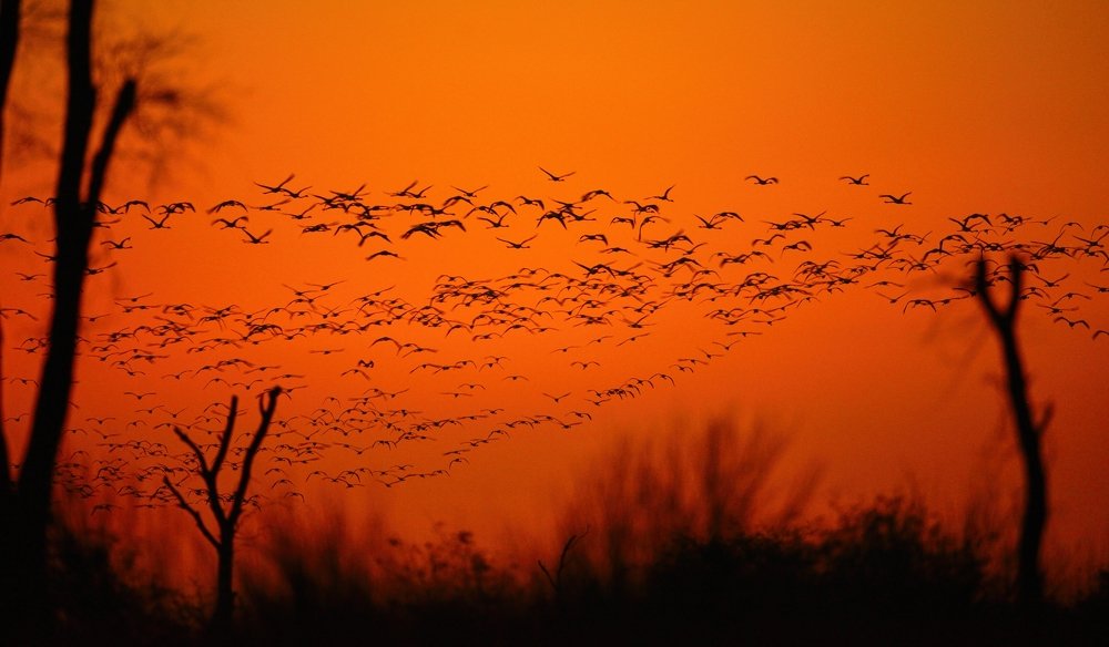 Photograph by Anjitha Senarath