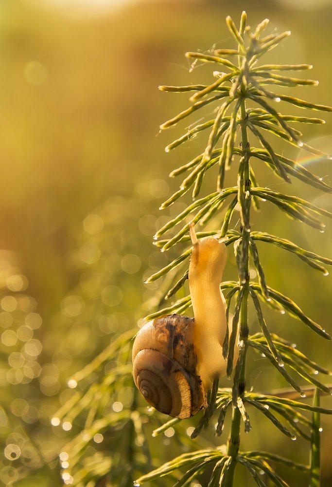 Photograph by Виктория Мамаева