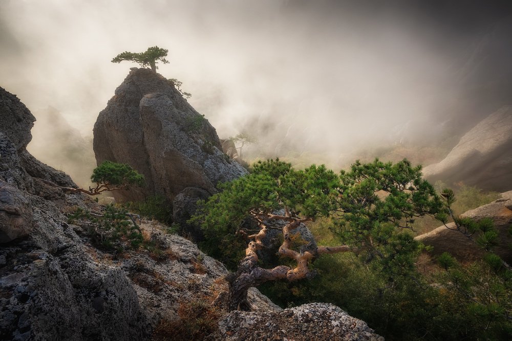 Photograph by Лузанов Вячеслав