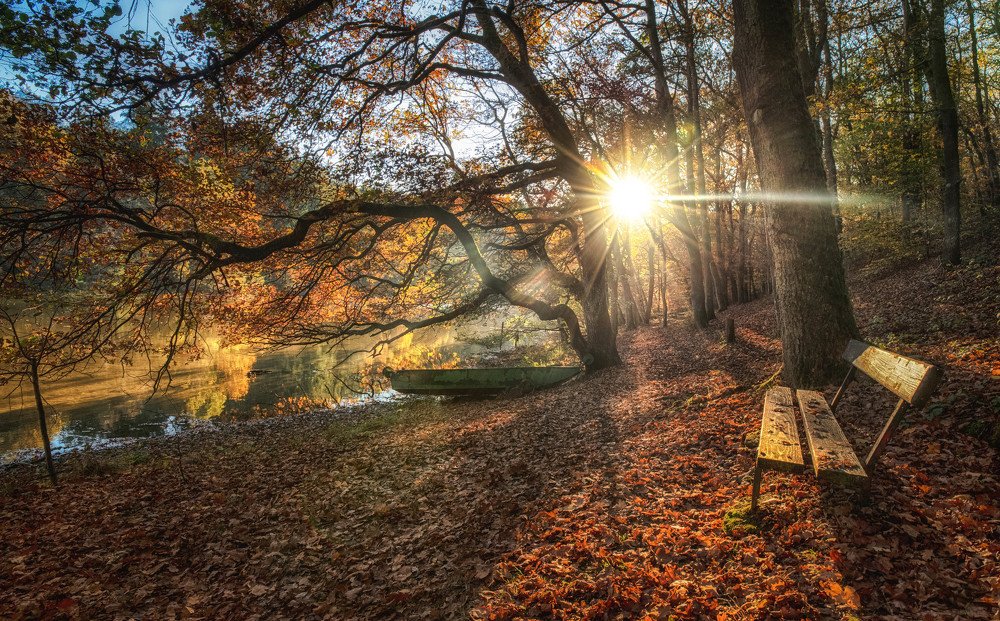 Photograph by Guy Krier