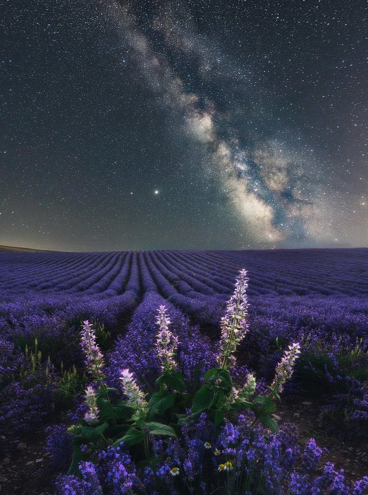 Photograph by Лузанов Вячеслав