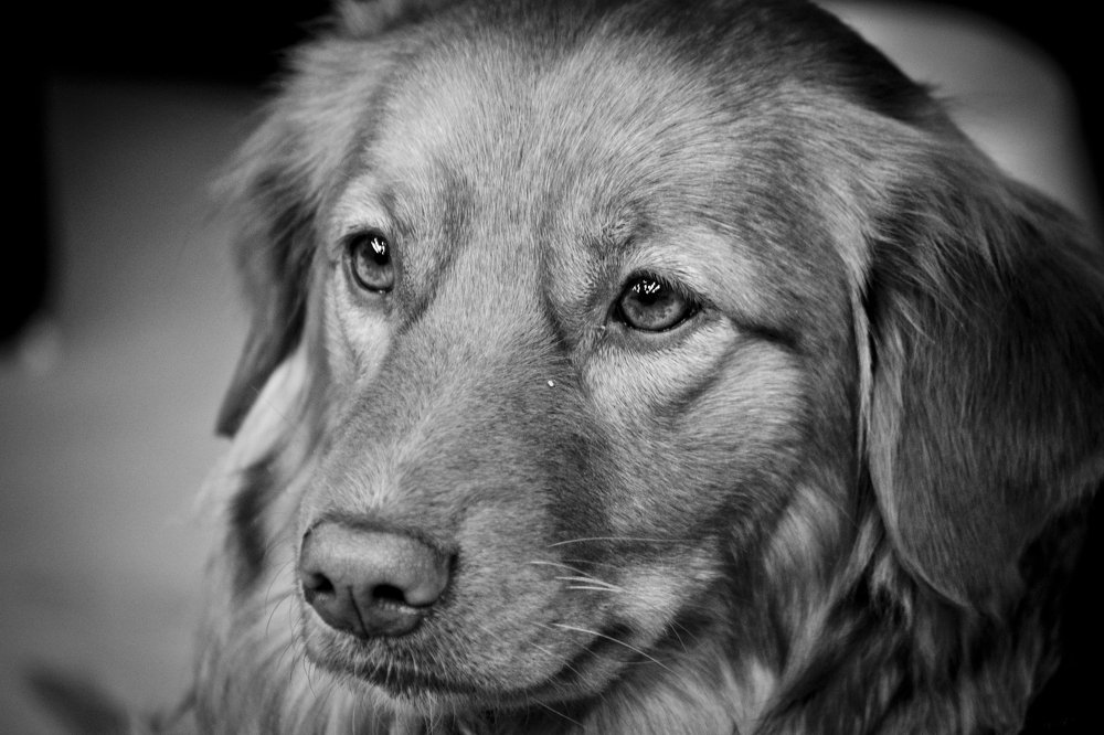 Photograph by Nora Cheprasova