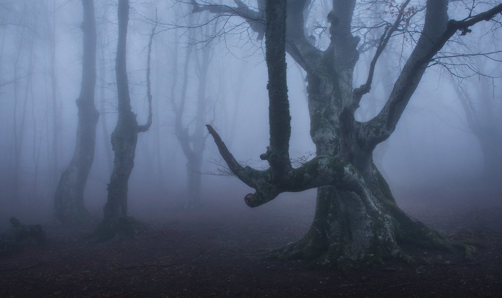 Photograph by Лузанов Вячеслав