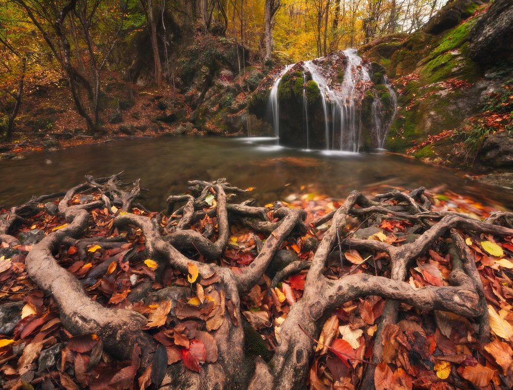 Photograph by Лузанов Вячеслав