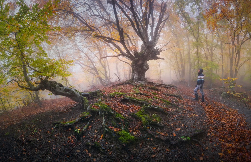 Photograph by Лузанов Вячеслав