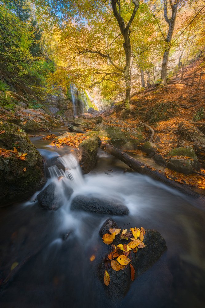 Photograph by Лузанов Вячеслав