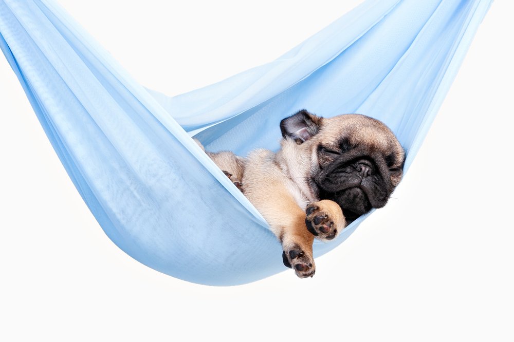 Photograph by Evgeniya Glinskaya