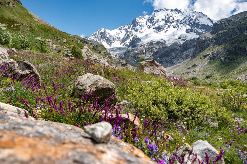 Photograph by Людмила Шафрай