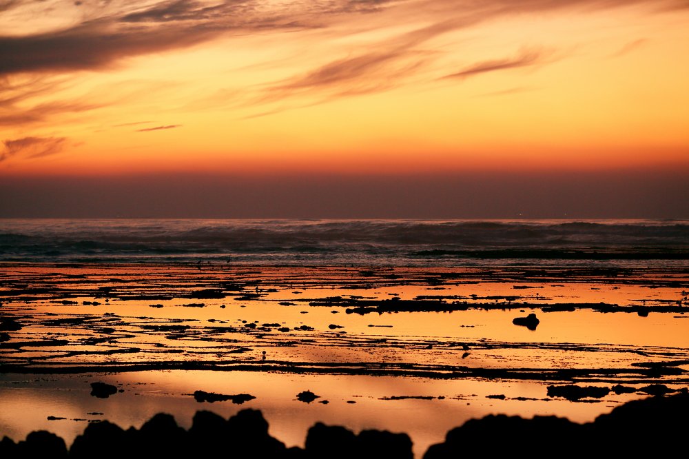 Фотография автора Viktoriia Antonova