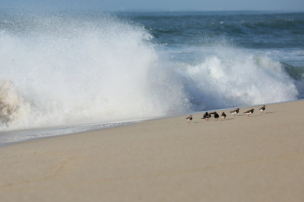 Фотография автора Viktoriia Antonova