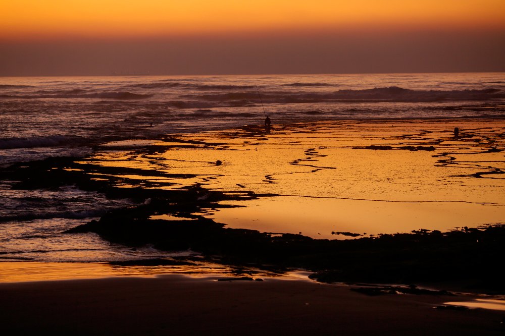 Фотография автора Viktoriia Antonova