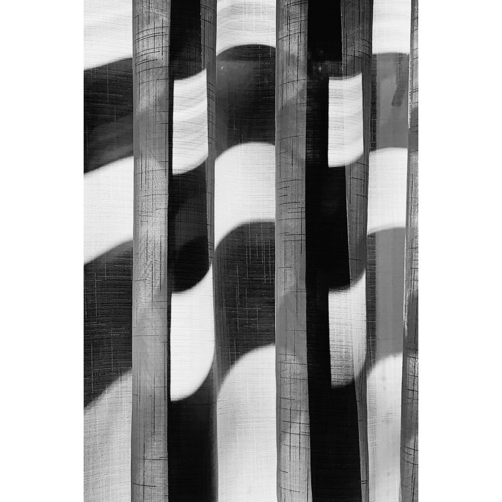 Photograph by Ирина Тимонина